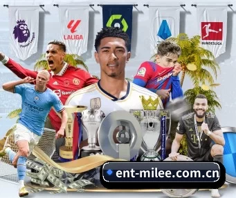 ent-milee.com.cn APP